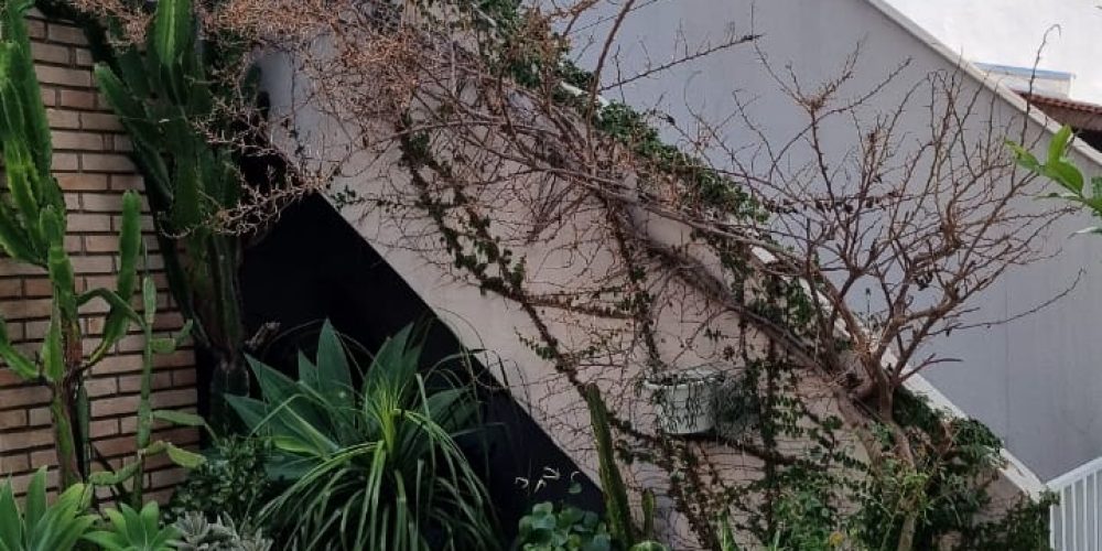 WhatsApp Image 2025-08-28 at 12.33.25 (3)